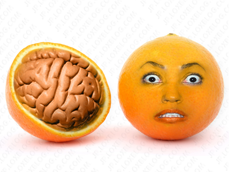  فتوشاپ حرفه ای.مغز پرتقال.فتوشاپ.عکس جالب.عکس تخیلی. عکس فانتزی